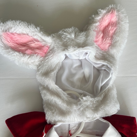 Alice in Wonderland rabbit costume 2T - Picture 4 of 7